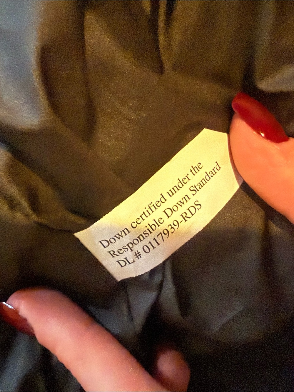 The North Face Lightweight Puffer Quilted Jacket - Picture 3 of 4